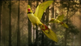 Parul - 31st March 2025